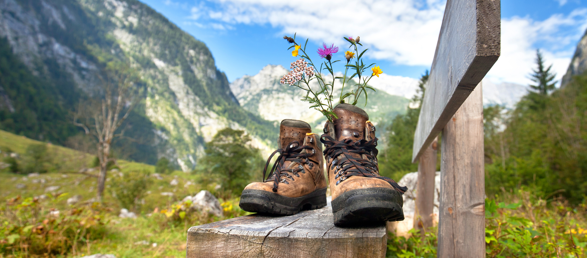 Wanderschuhe vor Bergkulisse