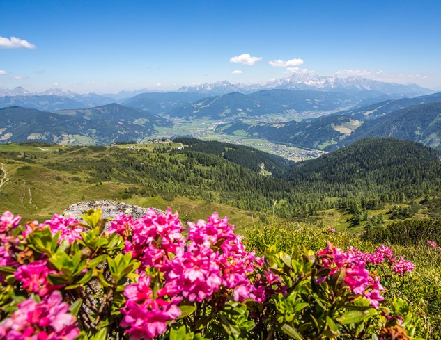 Ausblick von Flachau auf die Bergwelt © Flachau Tourismus